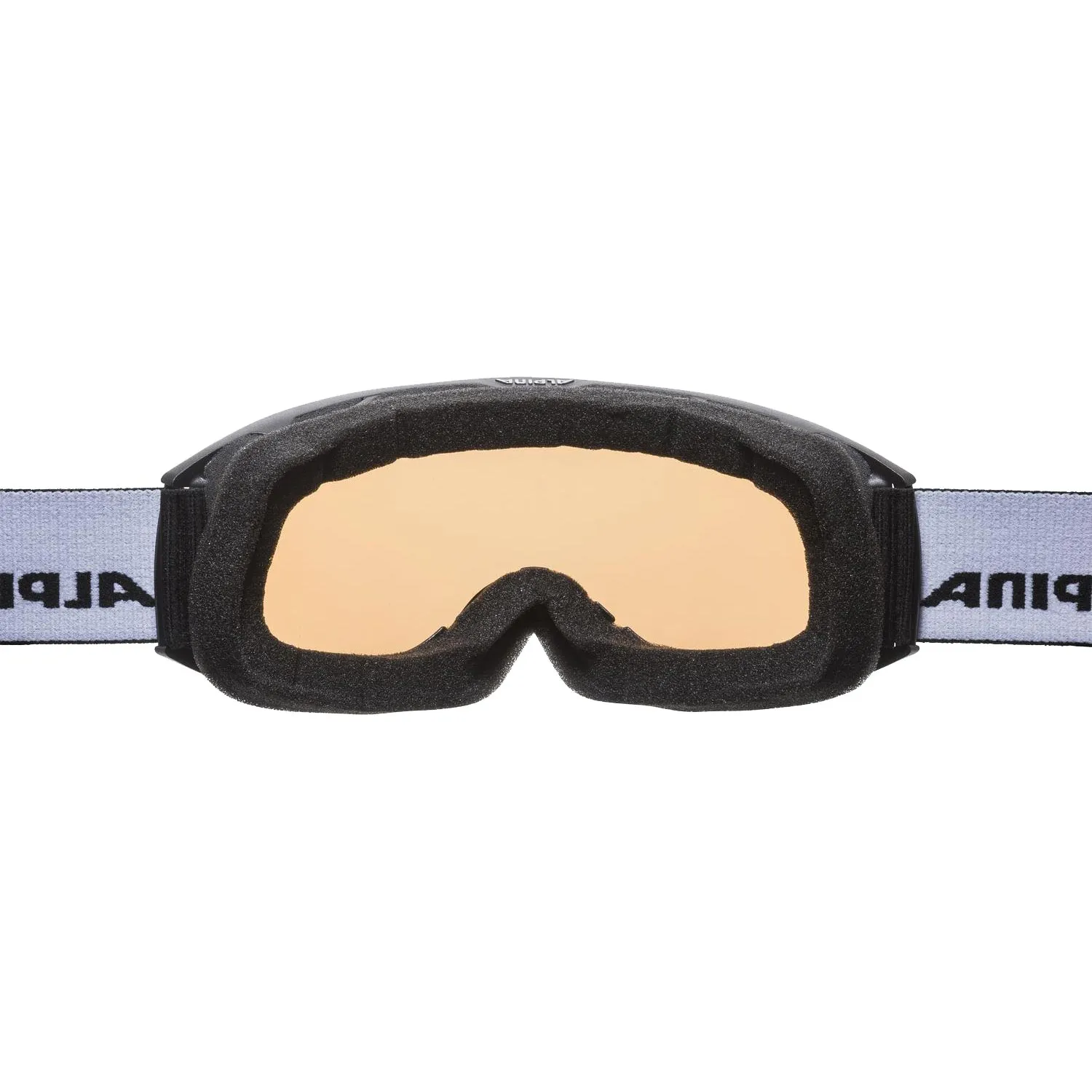 Alpina - Nakiska Q-Lite Ski Goggle black matt