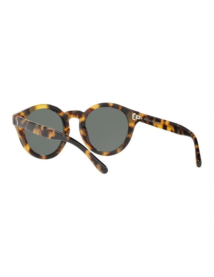 PH4149 Sunglasses in Brown