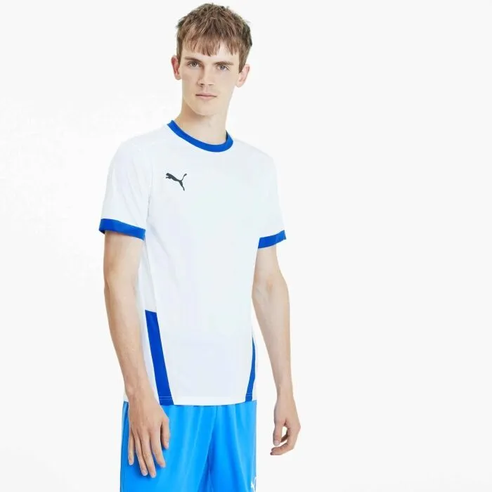 Puma TEAMGOAL 23 TRAINING JERSEY