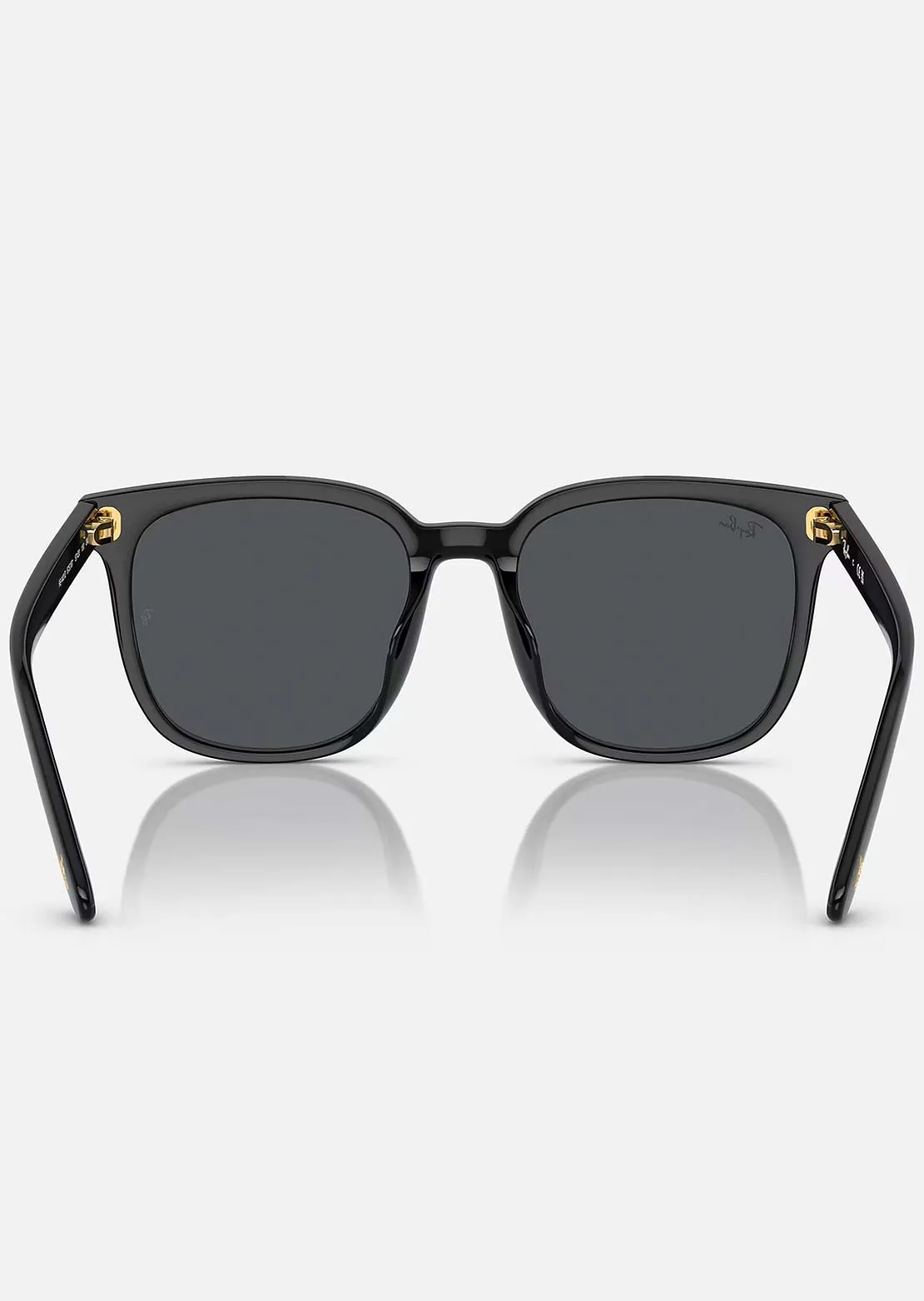 Ray-Ban RB4401D Sunglasses